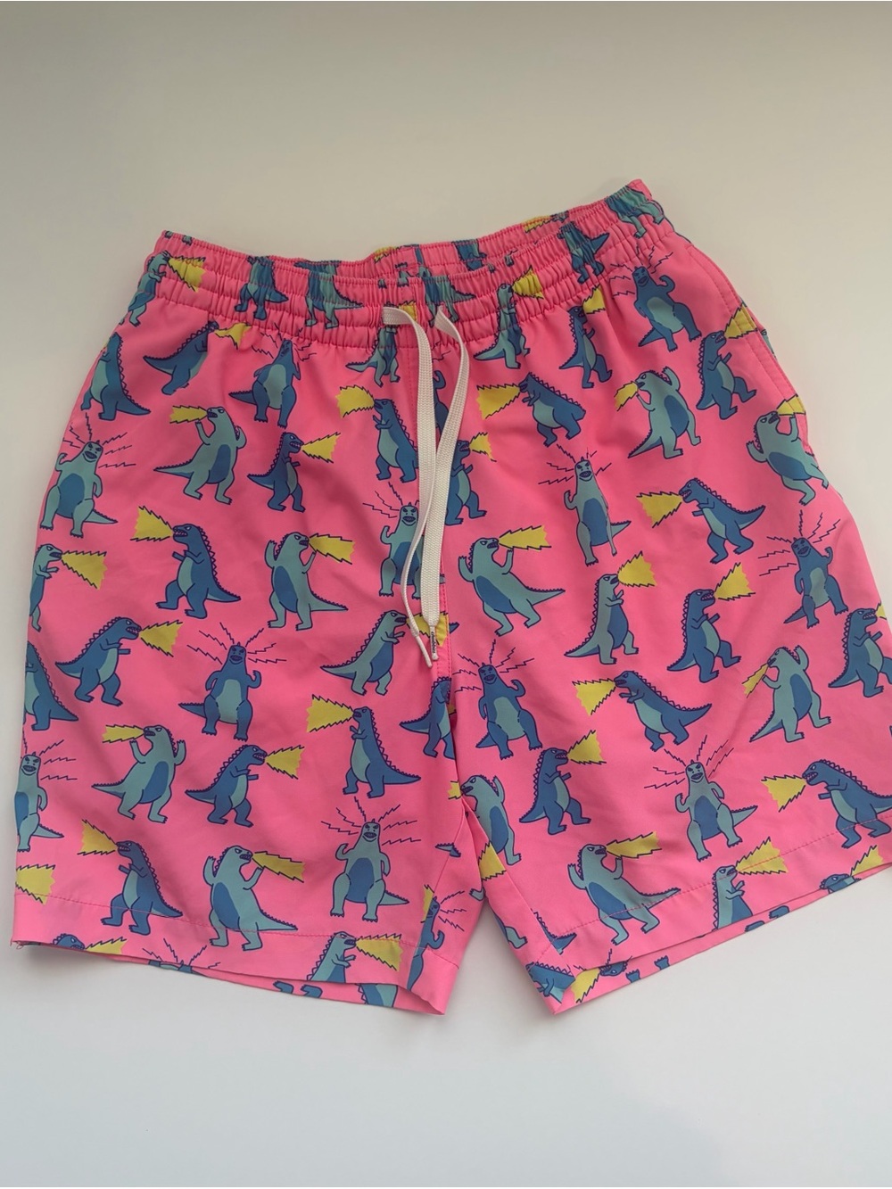 Small Chubbies Dinosaur Print Swim Shorts
